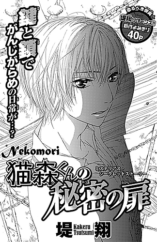 Cover image for Nekomori's Secret Door