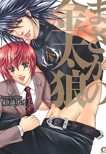 Cover image for The Incredible Kintaro