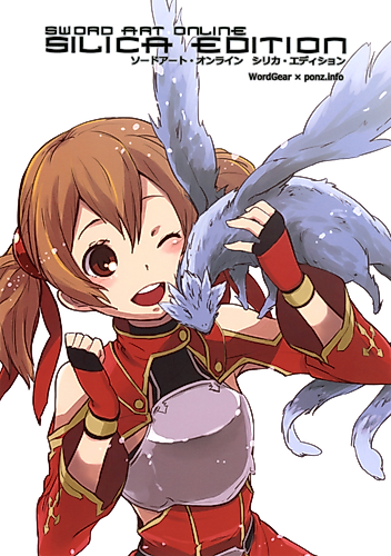 Cover image for Sword Art Online dj - Silica Edition