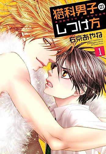 Cover image for How To Train Catboys