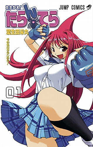 Cover image for Fight ! Tarantella