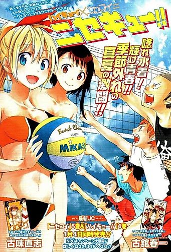 Cover image for Nisekyu!!