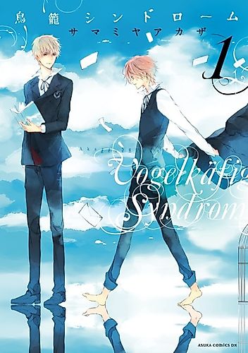 Cover image for Birdcage Syndrome