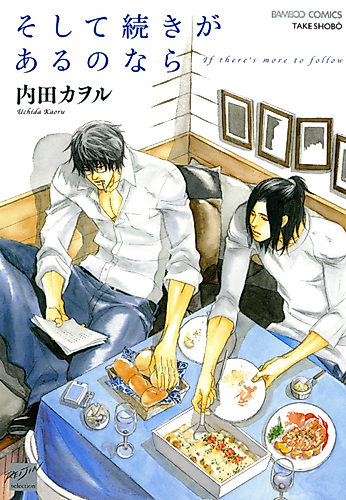 Cover image for If There's More to Follow