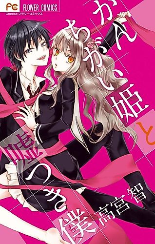 Cover image for Misunderstand Princess And The Liar Servant