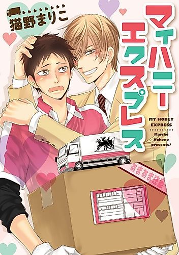Cover image for Flying Love