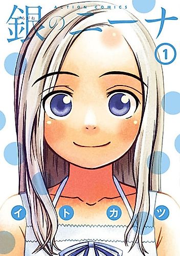 Cover image for Silver Nina