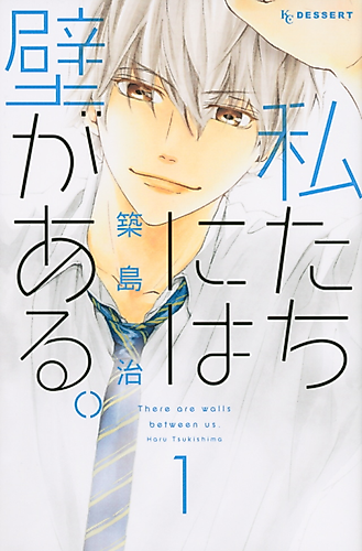Cover image for The Walls Between Us