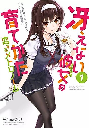 Cover image for Saenai Heroine no Sodate-kata