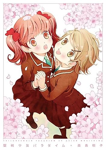 Cover image for Holy Girl Paradigm