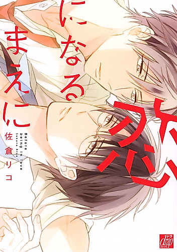 Cover image for Before You Fall in Love