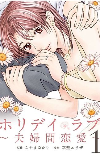 Cover image for Holiday Love