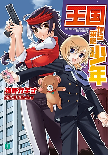 Cover image for The boy who came from the kingdom