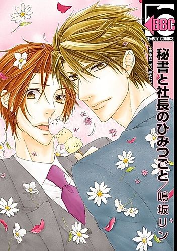 Cover image for The Secretary's And The President's Secret