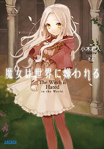 Cover image for The Witch is hated in the world
