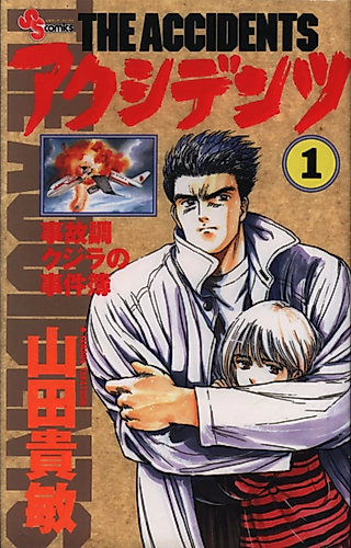 Cover image for The Accidents