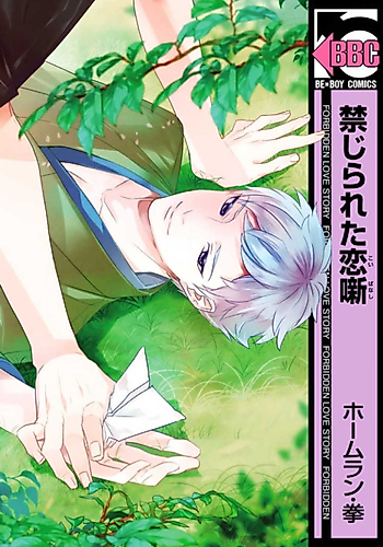 Cover image for Forbidden Love Story