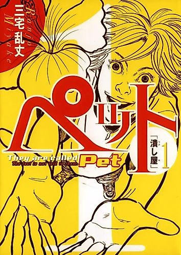 Cover image for Pet