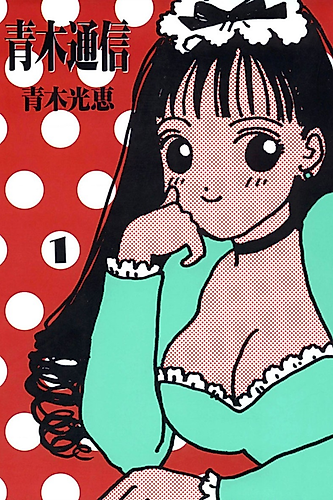 Cover image for The Aoki Report