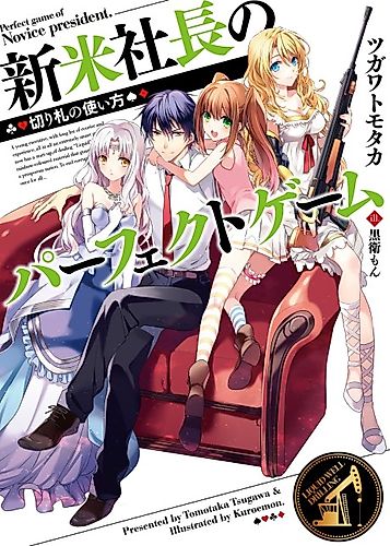 Cover image for Perfect Game of Novice President