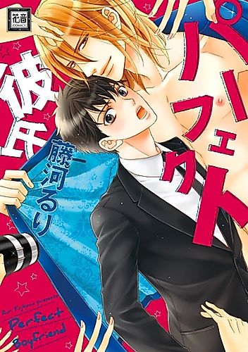 Cover image for Perfect Darling