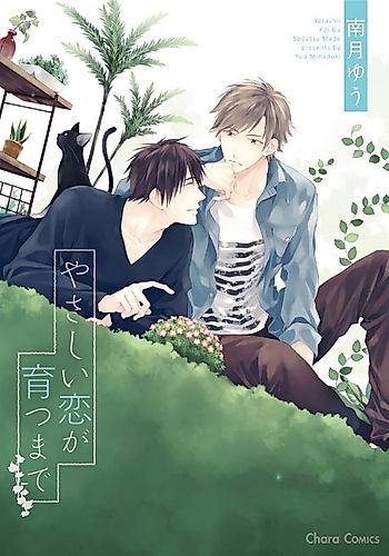 Cover image for Until An Easy Love Grows Up
