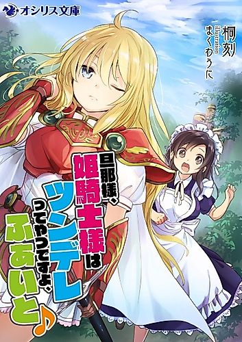 Cover image for Dannasama, Himekishi-sama wa Tsundere tte Yatsu desu yo, Fight♪