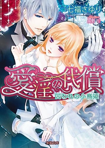 Cover image for Aiin no Daishou: Toraware no Kotori-hime