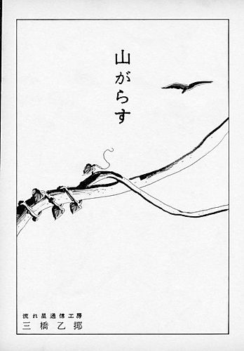 Cover image for Mountain Crow