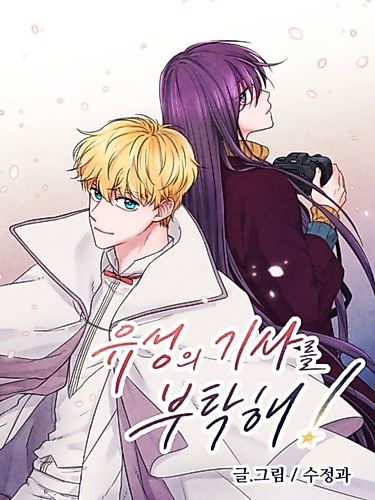 Cover image for The Knight of the Falling Star
