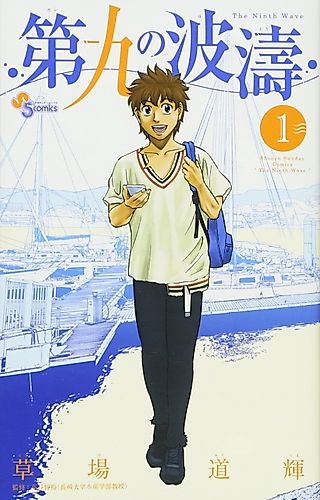 Cover image for The Ninth Wave