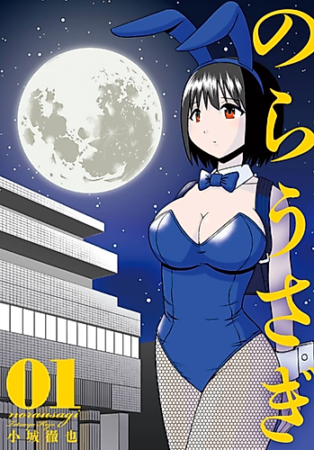 Cover image for Nora Usagi