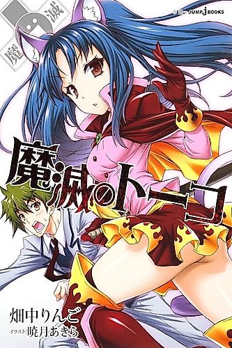 Cover image for Toko of Possession