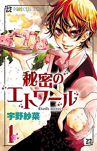 Cover image for Étoile secret