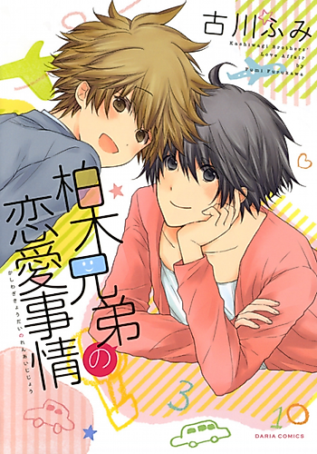 Cover image for Kashiwagi Brothers' Love Affair