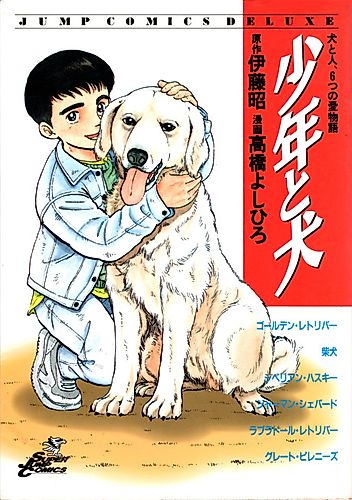 Cover image for A Boy and His Dog