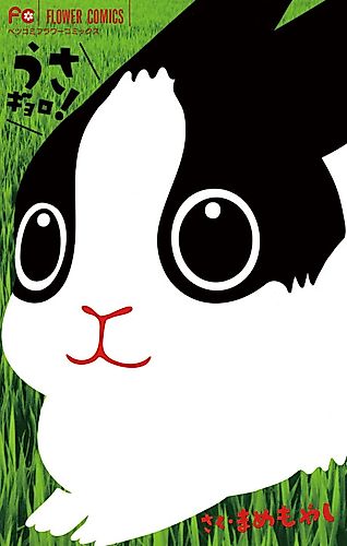 Cover image for Usagyoro!