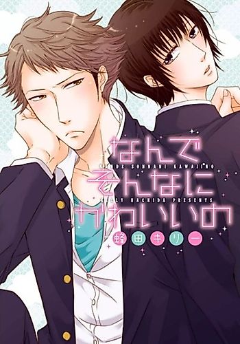 Cover image for Hinadori no Yukue