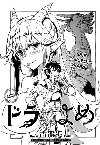 Cover image for Dragon Wife