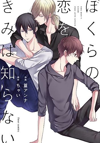 Cover image for You Don't Know Our Love Affair
