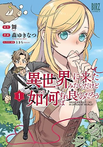 Cover image for Isekai ni Kita Mitai dakedo Dou Sureba Yoi no Darou