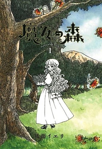 Cover image for Forest of the witch