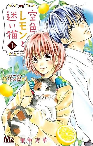 Cover image for Sky Blue Lemon and a Lost Cat