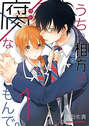 Cover image for My Partner is Rotten