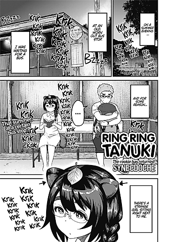 Cover image for Meddling Tanuki