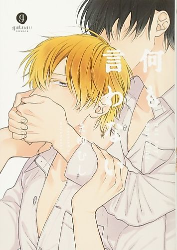 Cover image for Not Say Anything.