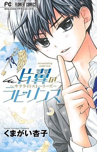 Cover image for The Wandering Single Wing: Satellite Stories