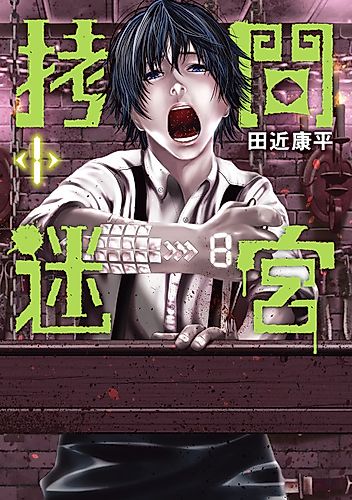 Cover image for Torture Labyrinth