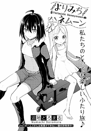 Cover image for Yorimichi Honeymoon