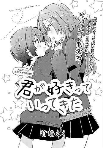 Cover image for You have said loving